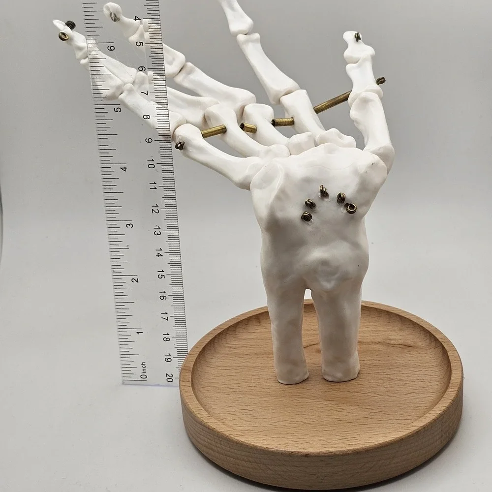Suck UK Skeleton Hand Jewelry Tidy Holder Organizer Halloween